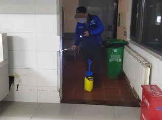 南京害虫消杀防治